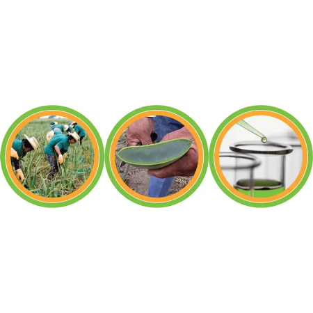 Herbalife Aloe Max Originale 473ml