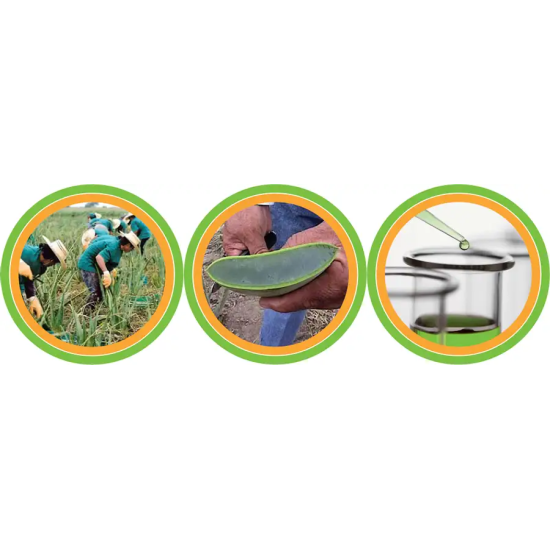 Herbalife Aloe Max Originale 473ml